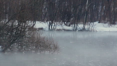 Río-Forestal-En-Invierno.-Clima-Frío.-Orilla-Del-Río-Cubierta-De-Nieve.-Niebla-Sobre-El-Río