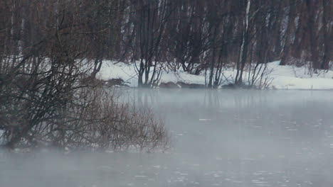 forest river in winter. cold weather. snow covered riverbank. fog over river