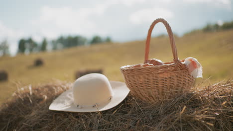 sun hat and woven picnic basket filled with snacks rest on hay bale in vast farmland with warm sunlight glow, rustic countryside setting evokes peaceful outdoor leisure and charming rural lifestyle