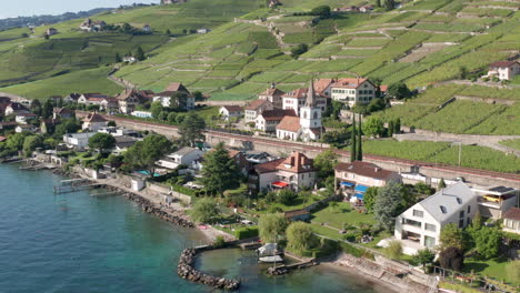 aerial of beautiful lakeside houses with a small town in the background