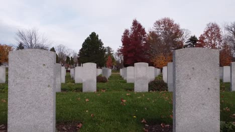 drone flies through headstones at a cemetery during autumn.