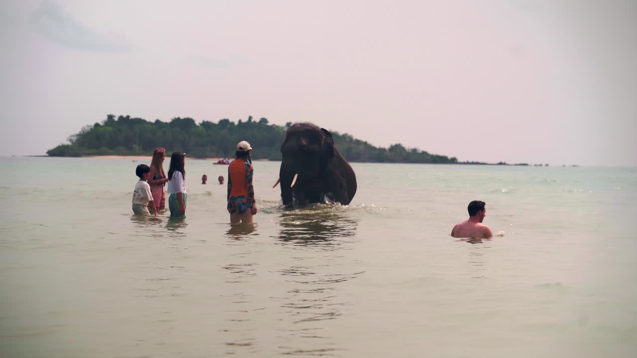 Children standing in sea with asian elephant at tourist attraction.