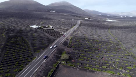 Aerial-shot-of-moving-cars-in-volcanic-area,-vineyards-and-black-gardens-in-Lanzarote,-4k