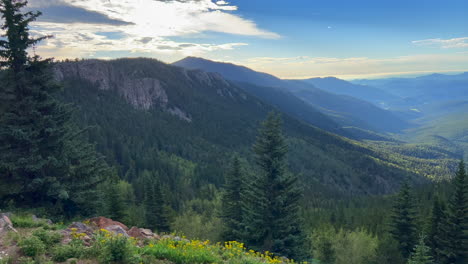 Wildblumen-Echo-Berg-Clear-Creek-County-Idaho-Springs-Immergrüner-Berg-Blauer-Himmel-Evans-Fourteener-Straßenrand-Fahrt-Abenteuer-Rocky-Mountains-Kontinentale-Wasserscheide-Sommer-Sonniger-Morgen-Schwenk-Nach-Rechts-