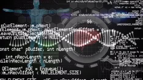 Animation-of-dna-strand,-human-body-model-and-data-processing-over-black-background