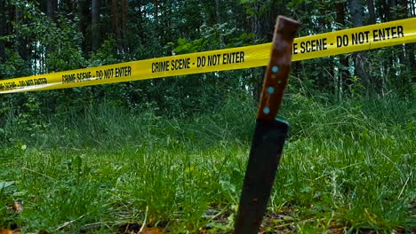 close up or closeup of a bloody knife standing up right in front of a yellow crime scene tape ribbon showing that a stabbing murder or crime has happened in a cloudy and rainy forest. green grass