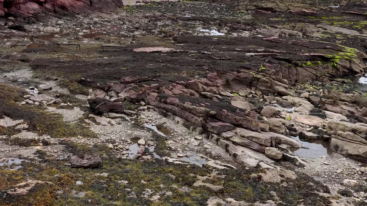 Camera slowly pans over seaweed-covered red sandstone cliffs and rocky coastal landscape at low tide