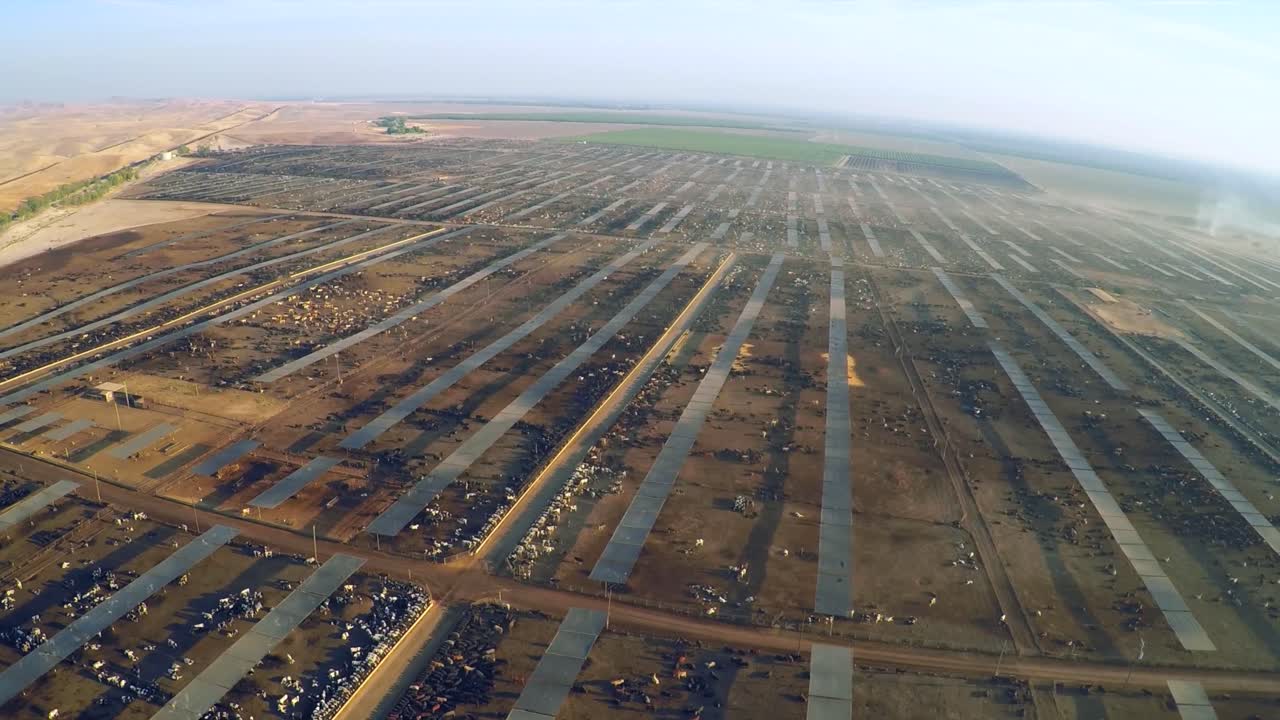 중앙 캘리포니아에 있는 광대한 가축 목장과 도살장 위의 공중