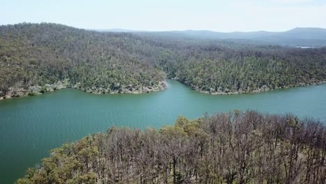 imágenes aéreas del bosque de eucaliptos afectado por el fuego cerca de la ensenada de mallacoota, recuperándose un año después de los incendios forestales