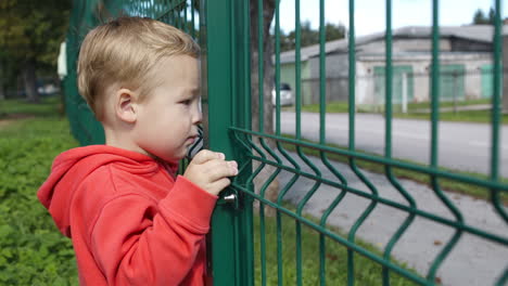 little boy peering through a wire fence