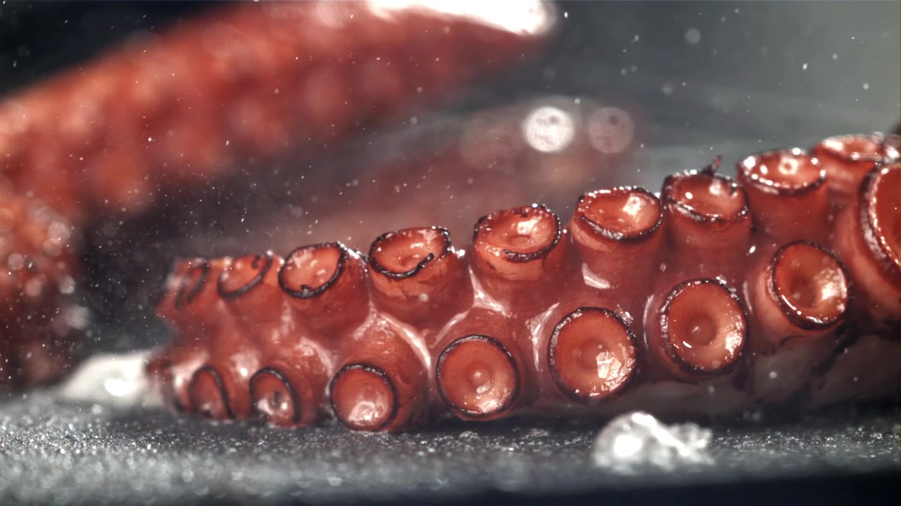 Primo piano di un tentacolo di polpo che sfrigola su una griglia calda