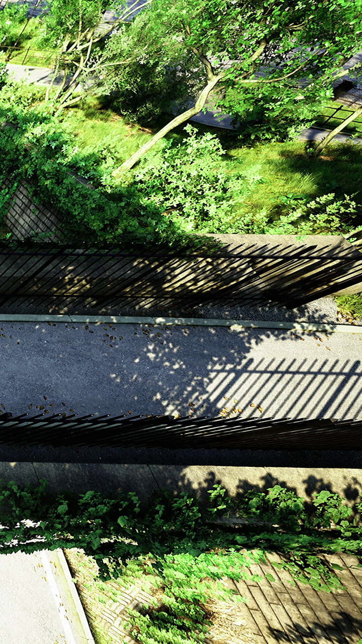 Unique interplay of light and shadows on a lush green pathway in the park
