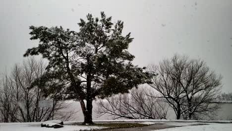 Texas-snow-flakes-falling-in-slow-motion-with-trees,-lake-and-gloomy-skies-the-in-background