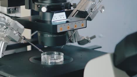 octax adaptive electronic microscope system in action