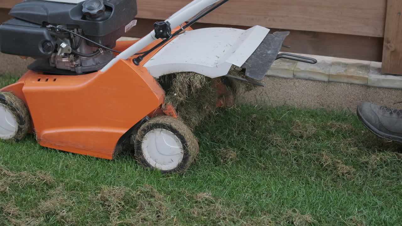 Lawn Scarifier Removing Dead Grass and Thatch from a Garden