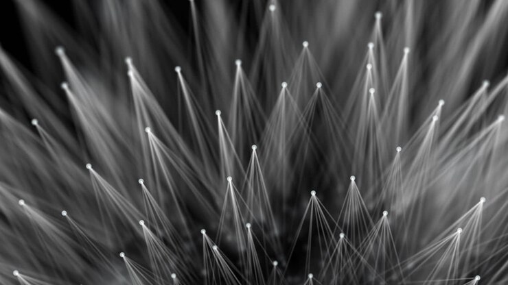 Abstract Network Design