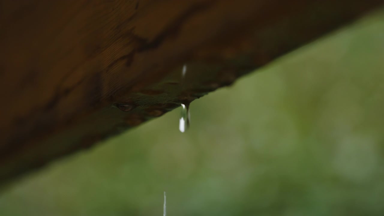 Raindrops forming and dripping from the wet edge of a wooden roof beam, with falling rain and a blurry green garden out of focus
