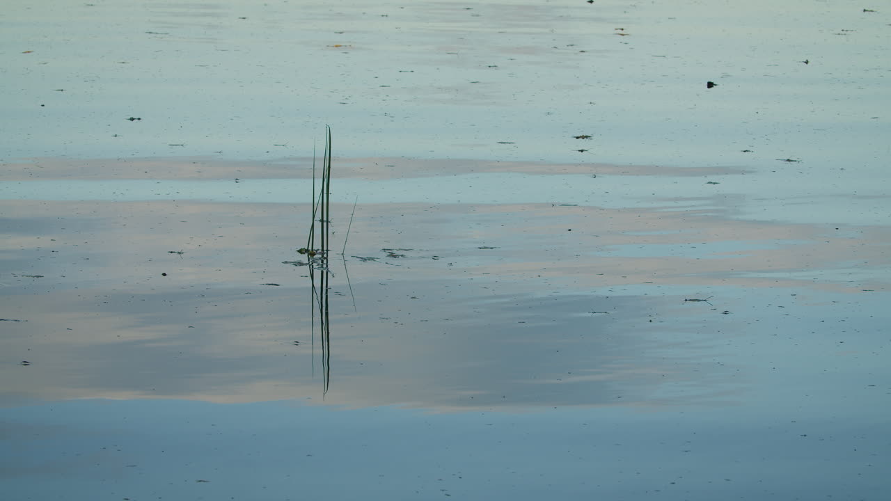 Peaceful Reflection on Calm Water
