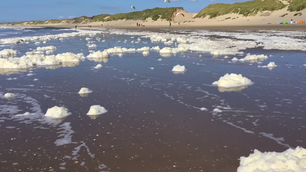 사람들이 배경에서 패러글라이딩을 하는 동안 더러운 거품 뭉치가 북해 해변의 해변을 가로질러 날아갑니다.