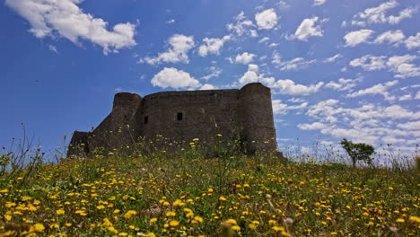 Panning-shot-of-wild-yellow-flowers-in-bloom-outside-the-walls-of-Medieval-Chlemoutsi-castle,-Peloponnese,-Kyllini-Andravida-in-Greece-on-a-spring-day