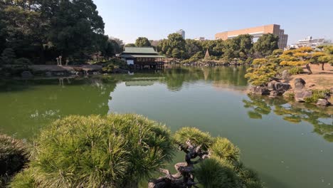 serene pond view with changing sunlight and shadows