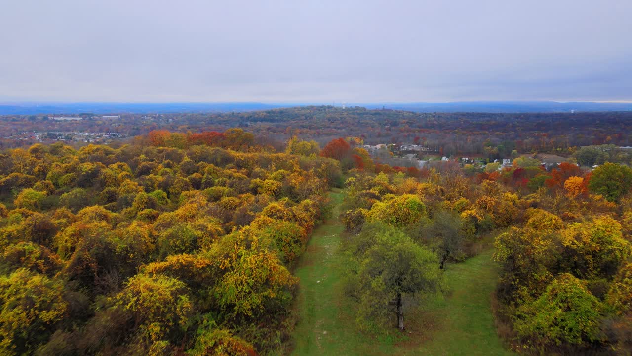 imágenes aéreas bajas de un parque y valle de árboles durante el otoño