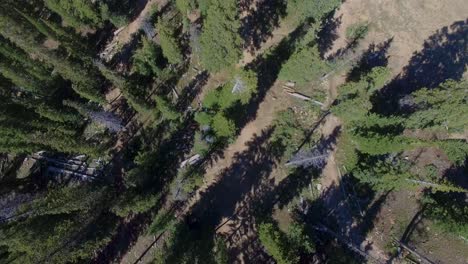 El-Ciclista-De-Montaña-Cuesta-Abajo-Recorre-El-Camino-A-Través-De-Los-árboles-En-Colorado