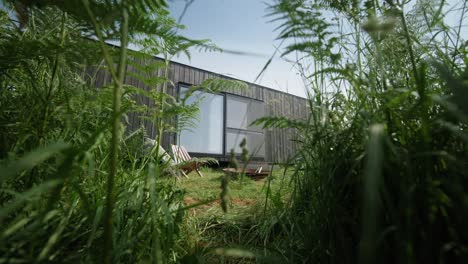 cabin in nature slow motion moving between ferns ireland