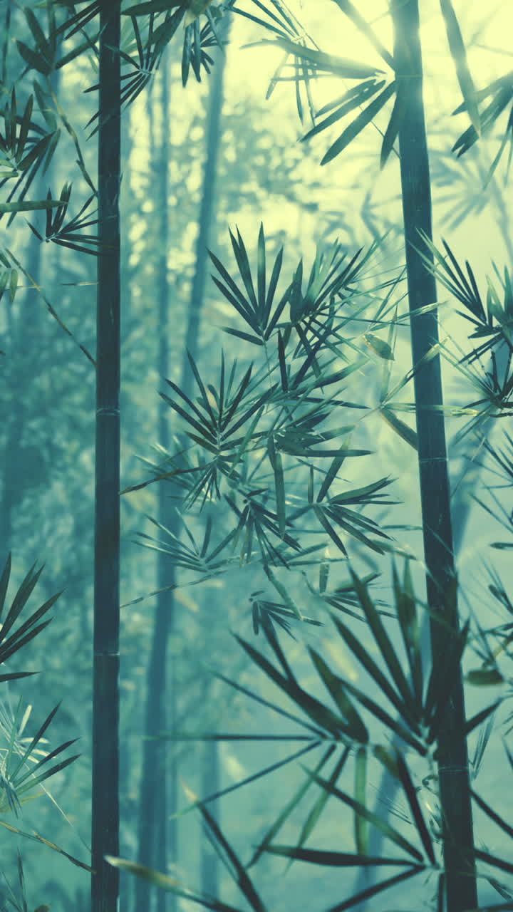naturaleza fresca y verde bosque tropical de bambú