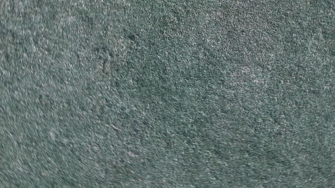 Drone captures a young Latina girl walking alone in a serene park. The overhead shot highlights the grass texture and her movement, creating a peaceful and introspective mood