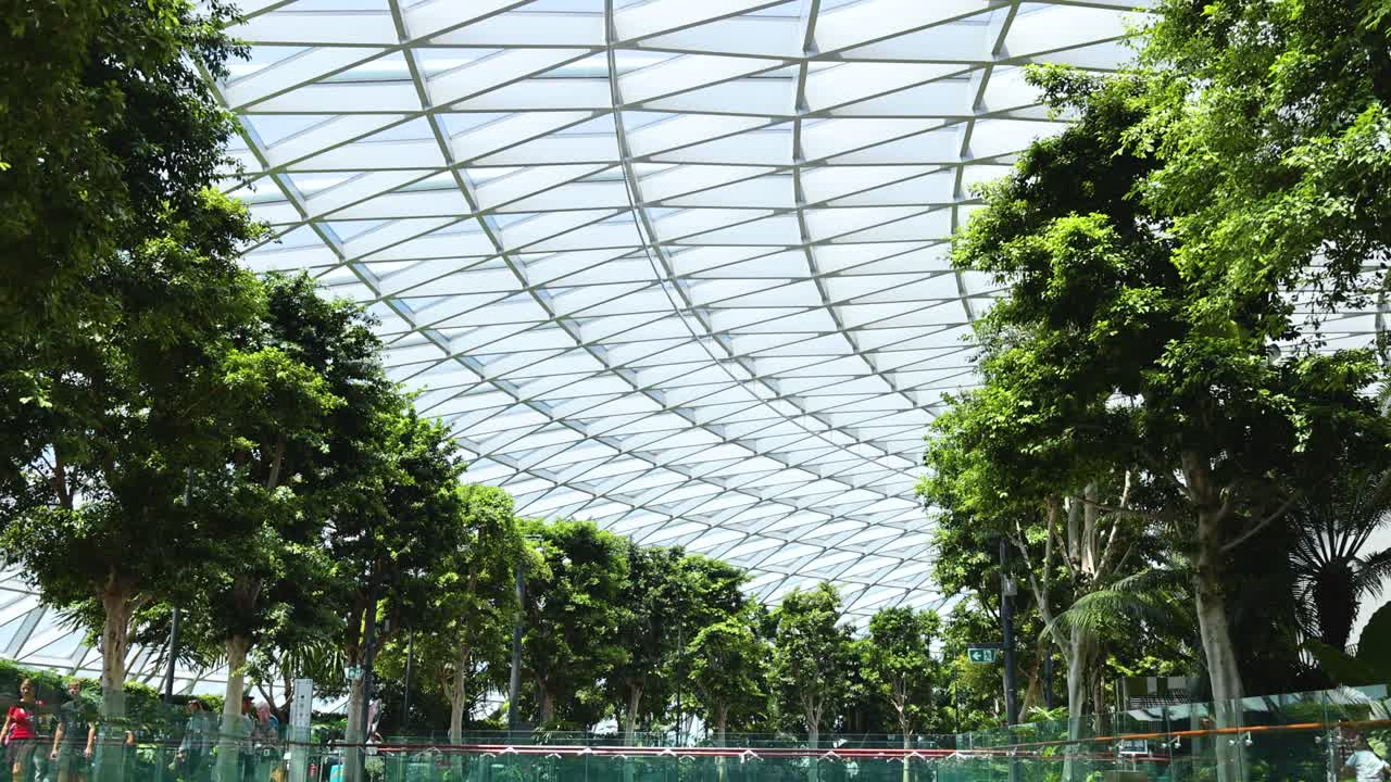 Camera slowly pans across lush indoor trees beneath a geometric glass dome, capturing natural daylight, greenery, and modern architectural elements in a public space