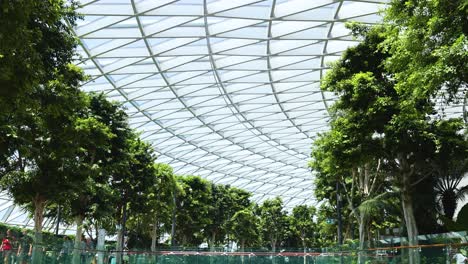 camera slowly pans across lush indoor trees beneath a geometric glass dome, capturing natural daylight, greenery, and modern architectural elements in a public space