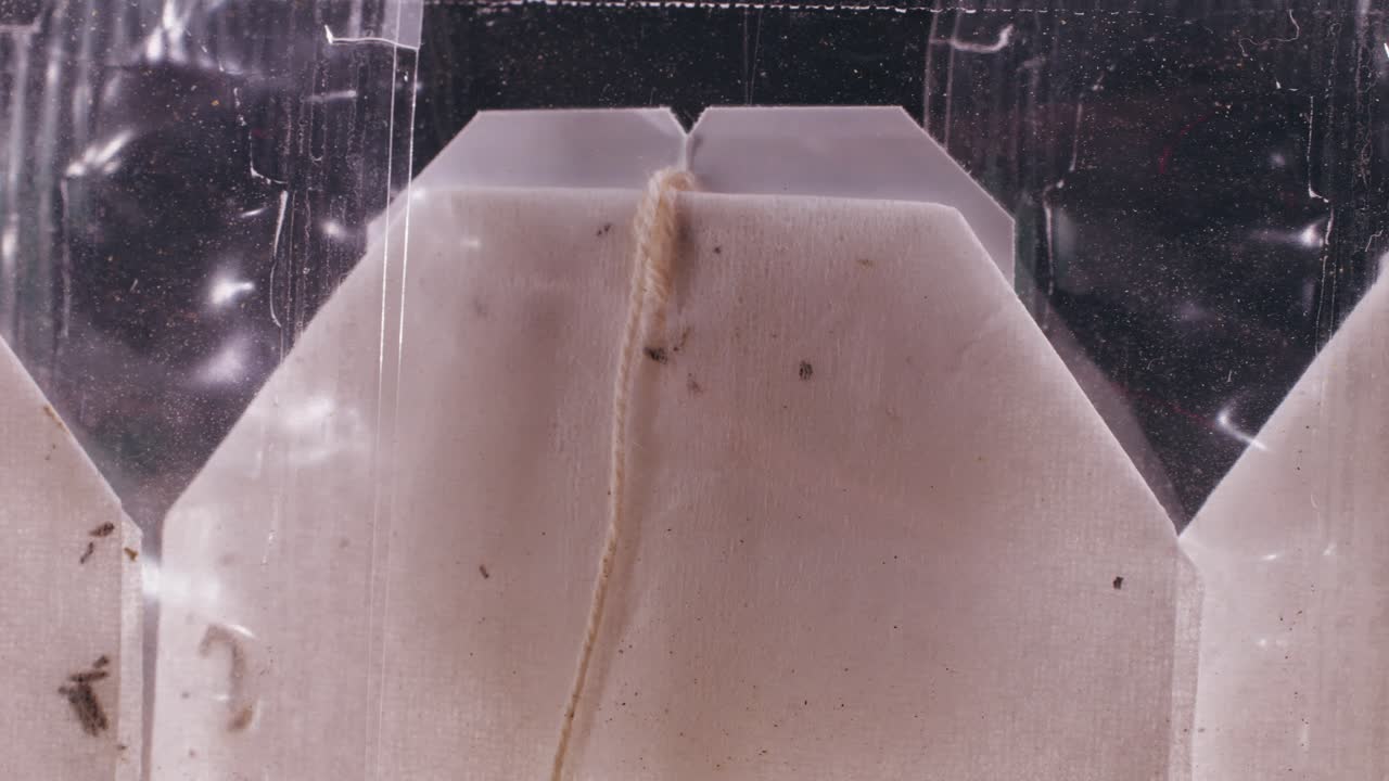 Close-up of Tea Bags in Packaging