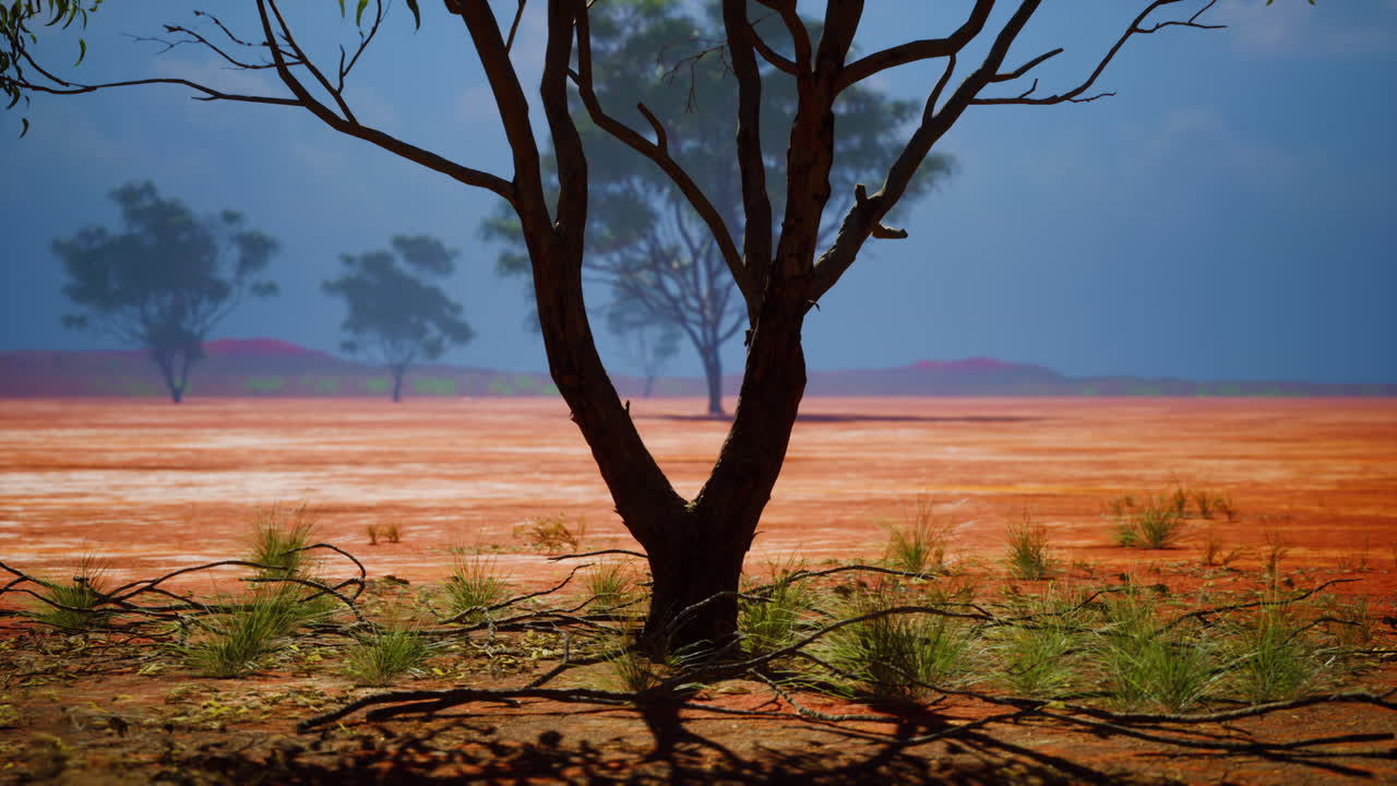 paisaje de sabana africana con árboles de acacia