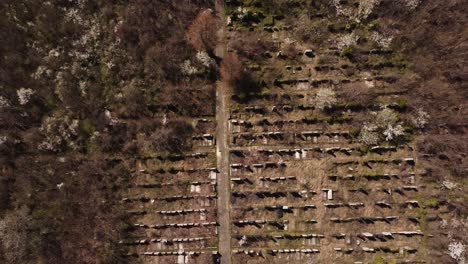 top view of abandoned cemetery