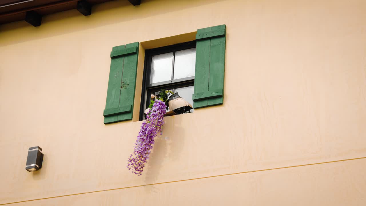 hermosa fotografía en cámara lenta de flores colgando de un alféizar de una bodega en italia