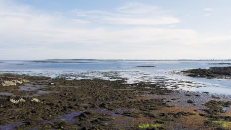 Die-Irische-Seeküste-Irlands-Bei-Ebbe-Mit-Algen-Und-Seevögeln