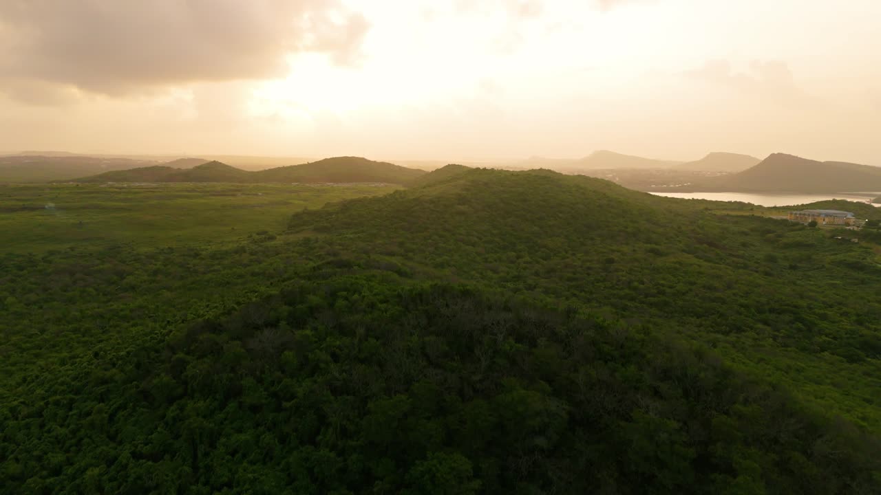 la luz dorada del amanecer se extiende por las exuberantes colinas tropicales de la isla caribeña de curaçao.