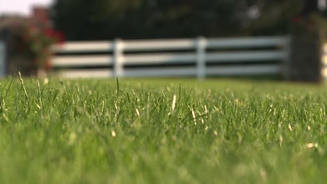 Rack-Fokus-Auf-Einem-Schönen-Rasen-Mit-Gras-Und-Weißem-Zaun