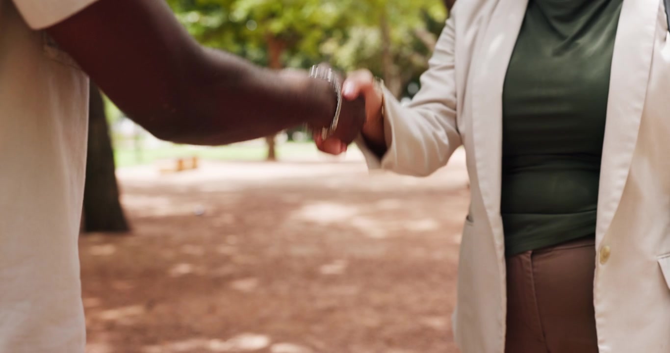 Business Professionals Shaking Hands in a Park