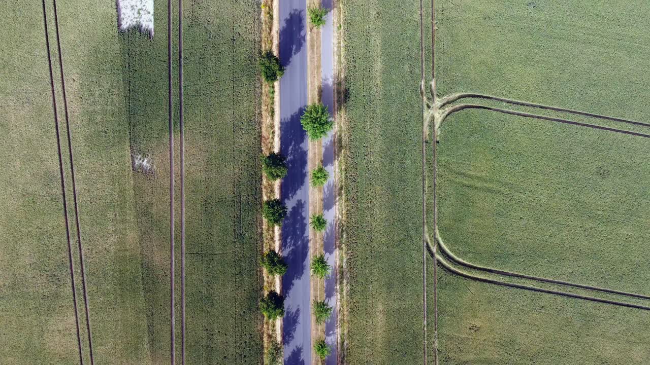 텅 빈 외로운 거리, 아무도, 혼자 있는 사람도 없어