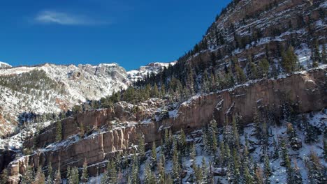 Close-up-drone-shot-of-mountain-cliffs-and-tall-pine-trees-on-a-sunny-day