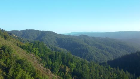 reserva de espacio abierto de skyline ridge - bosque de niebla en las montañas de santa cruz cerca de palo alto, california