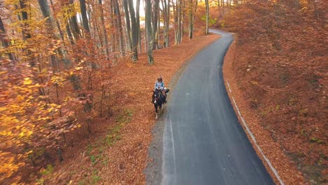 girl on a horse riding it in orange forest in autumn drone shot