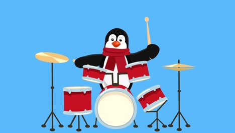 cartoon little penguin flat christmas character play drums animation includes matte