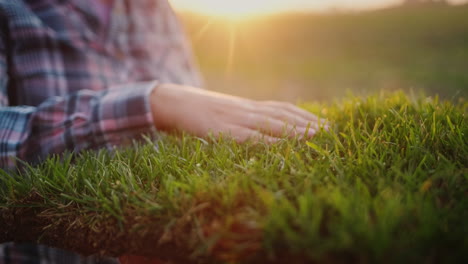 la mano de una agricultora toca un pedazo de tierra donde crece la hierba verde