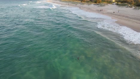 Baby-Robbenlöwe-Schwimmt-In-Der-Nähe-Des-Spit-Hauptstrandes-In-Gold-Coast,-Queensland,-Australien