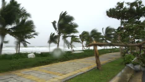 árboles-Rotos-Fuertes-Lluvias-Fuertes-Vientos-Mar-Agitado