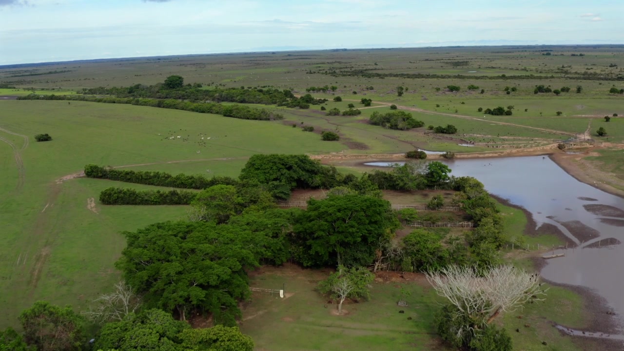 Push forward glides above the winding wetland, tracing the boundary between dense forest and open savanna across the flat Colombian Llanos.