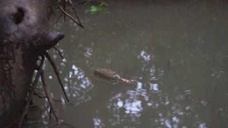 Una-Botella-De-Alcohol-Nadando-En-El-Agua-De-Barro